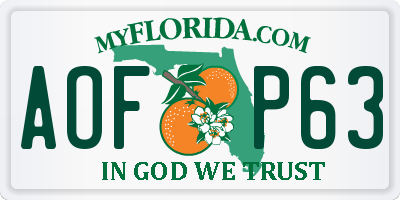 FL license plate AOFP63