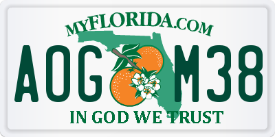 FL license plate AOGM38