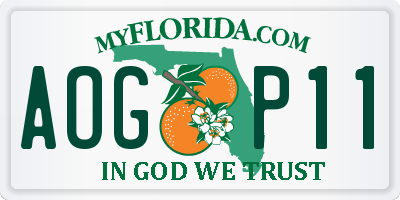 FL license plate AOGP11