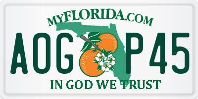 FL license plate AOGP45