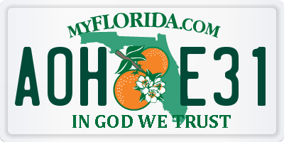 FL license plate AOHE31