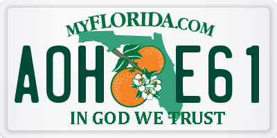 FL license plate AOHE61