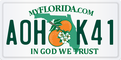 FL license plate AOHK41