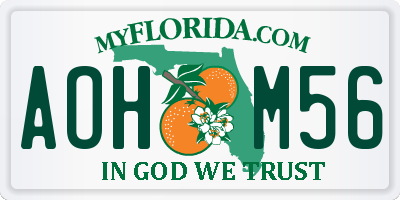 FL license plate AOHM56