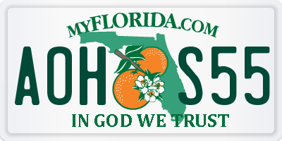 FL license plate AOHS55