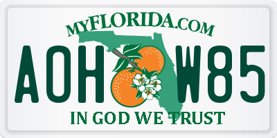 FL license plate AOHW85