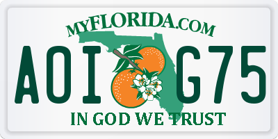 FL license plate AOIG75