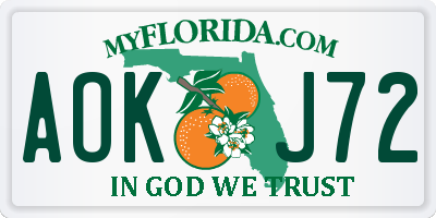 FL license plate AOKJ72