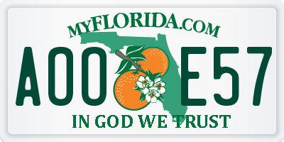 FL license plate AOOE57