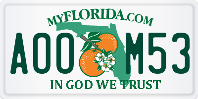 FL license plate AOOM53