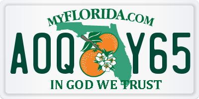 FL license plate AOQY65