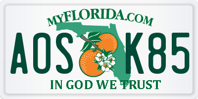 FL license plate AOSK85