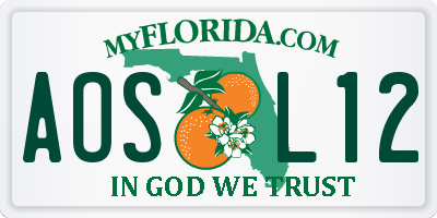 FL license plate AOSL12