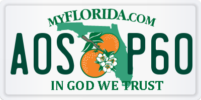 FL license plate AOSP60