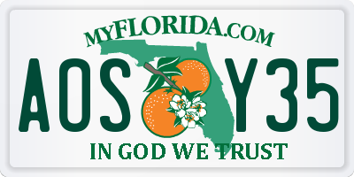 FL license plate AOSY35