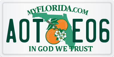 FL license plate AOTE06