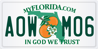 FL license plate AOWM06
