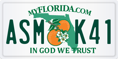 FL license plate ASMK41