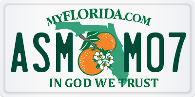 FL license plate ASMM07