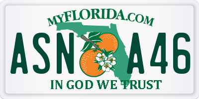 FL license plate ASNA46