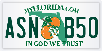 FL license plate ASNB50