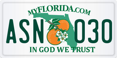 FL license plate ASNO30