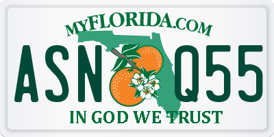 FL license plate ASNQ55