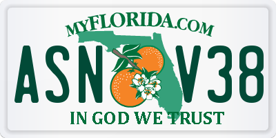 FL license plate ASNV38