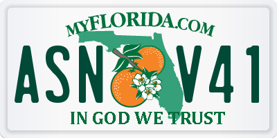 FL license plate ASNV41