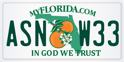 FL license plate ASNW33