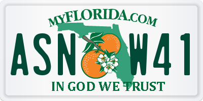 FL license plate ASNW41