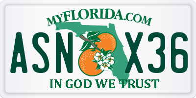 FL license plate ASNX36