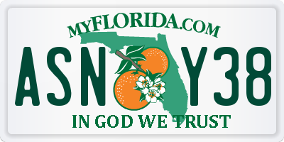 FL license plate ASNY38