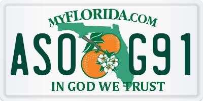 FL license plate ASOG91