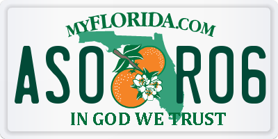 FL license plate ASOR06