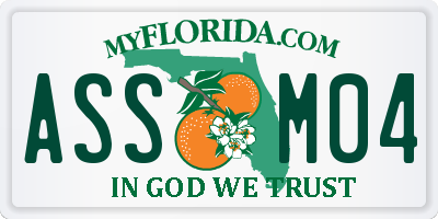 FL license plate ASSM04