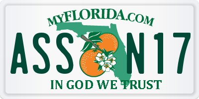 FL license plate ASSN17