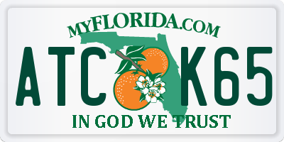 FL license plate ATCK65