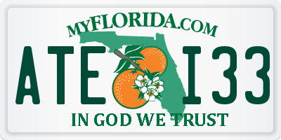 FL license plate ATEI33
