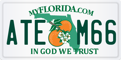 FL license plate ATEM66