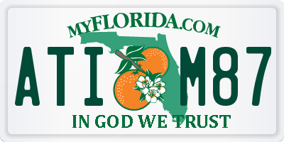 FL license plate ATIM87