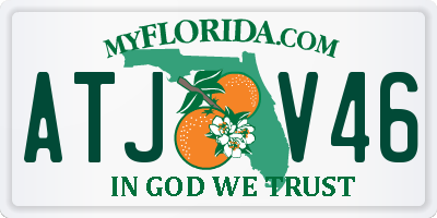 FL license plate ATJV46