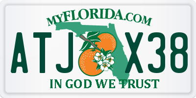 FL license plate ATJX38