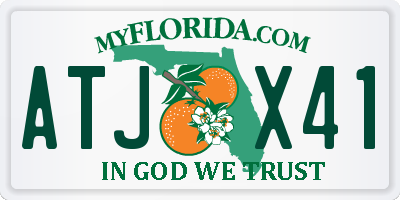FL license plate ATJX41