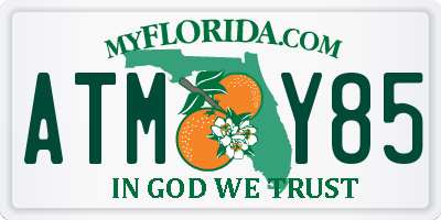 FL license plate ATMY85