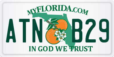 FL license plate ATNB29