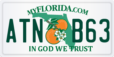 FL license plate ATNB63