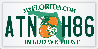 FL license plate ATNH86