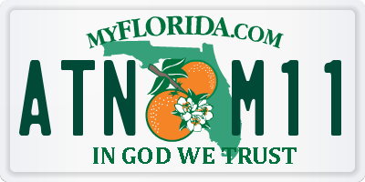FL license plate ATNM11