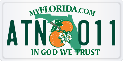 FL license plate ATNO11